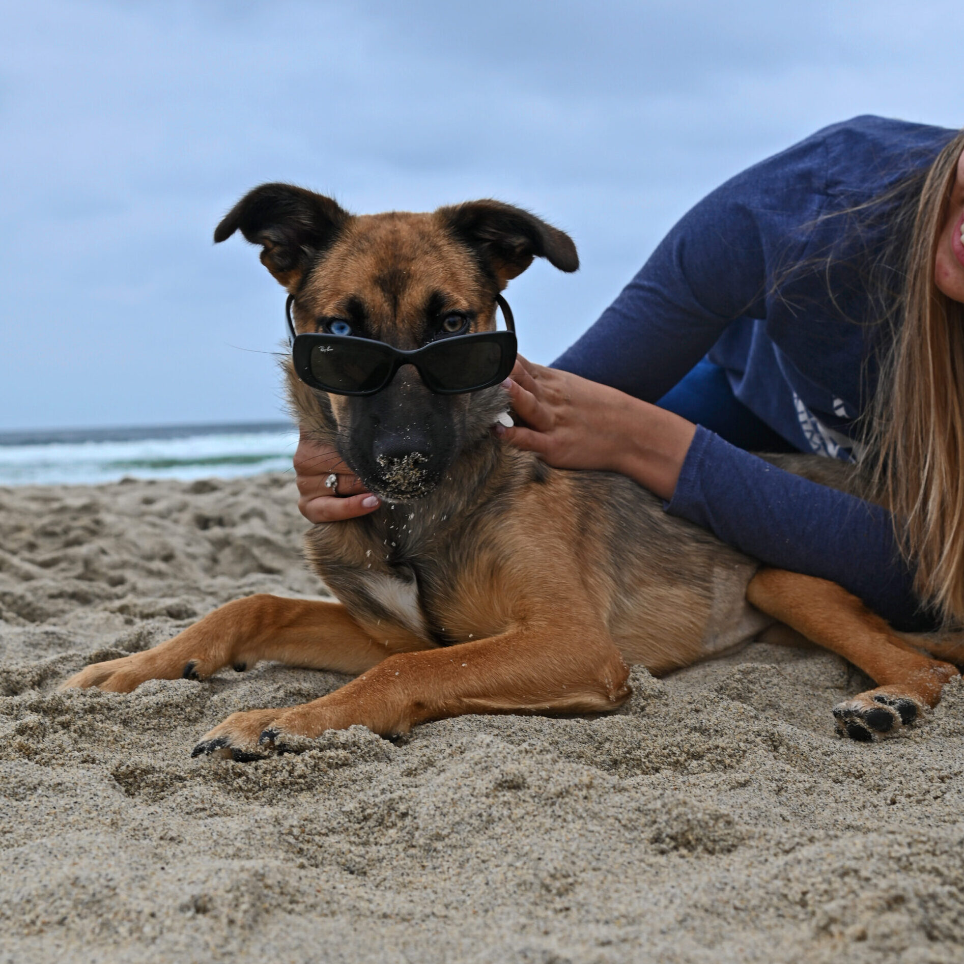 Dog with sunglasses at the beach