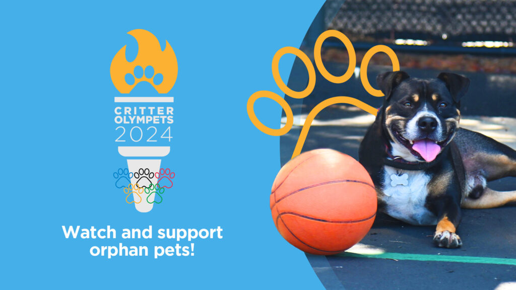 Graphic promoting Critter Olympets 2024 with Mister on the front page