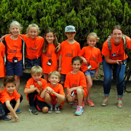 A group of children in orange shirts with a sheep