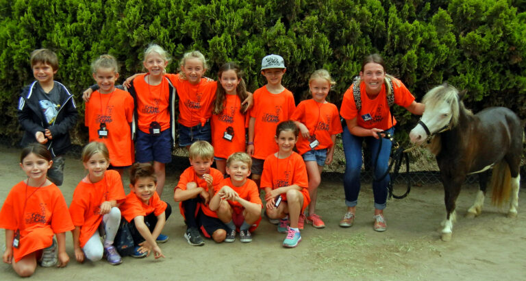 A group of children in orange shirts with a sheep