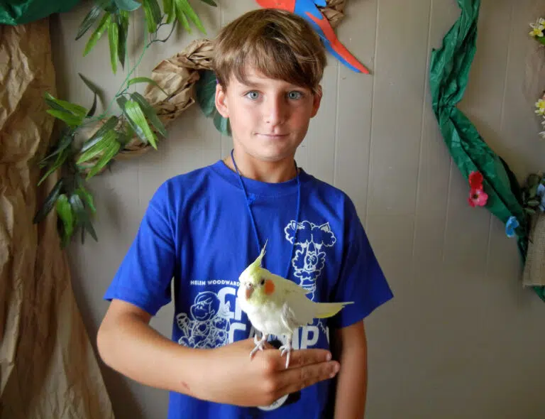 A boy holding a yellow bird