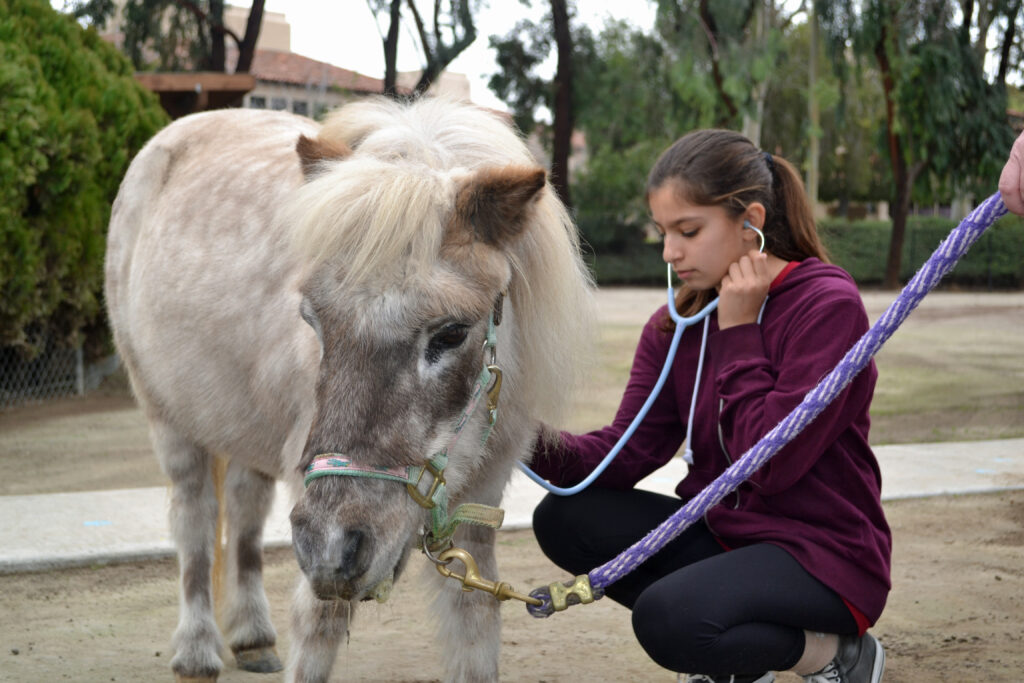 Young girl with horse