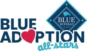 A logo that says, "Blue Adoption All-Stars" in blue and with the Blue Buffalo logo at the top right corner. The 'o' in 'Adoptions' is a red heart.