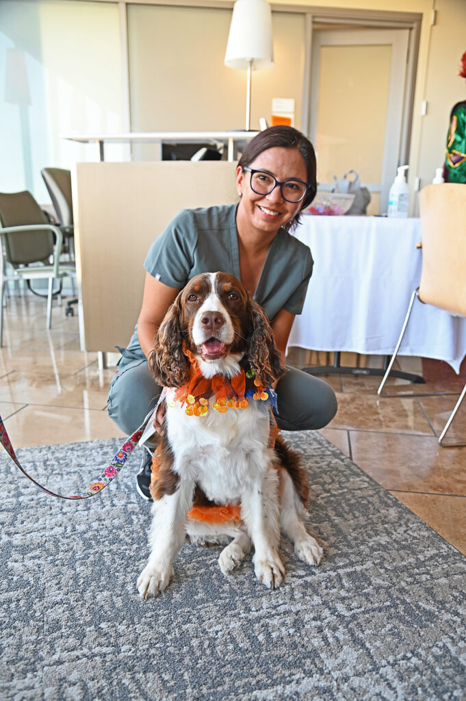 Brown and white dog with healthcare worker