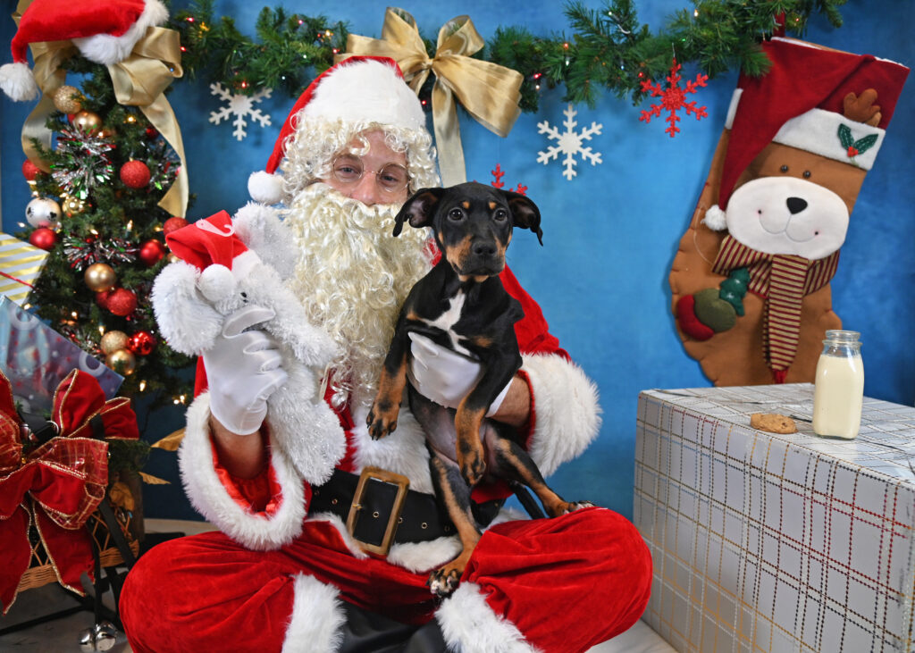 Santa Claus with a black and brown dog and presents surrounding them