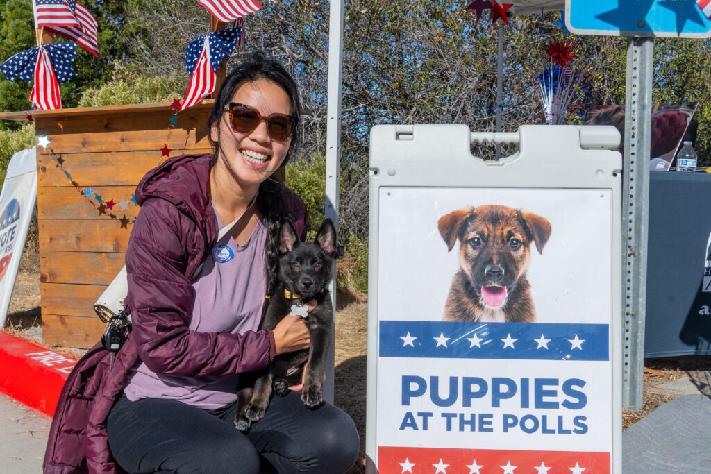 Woman with puppy at polling station