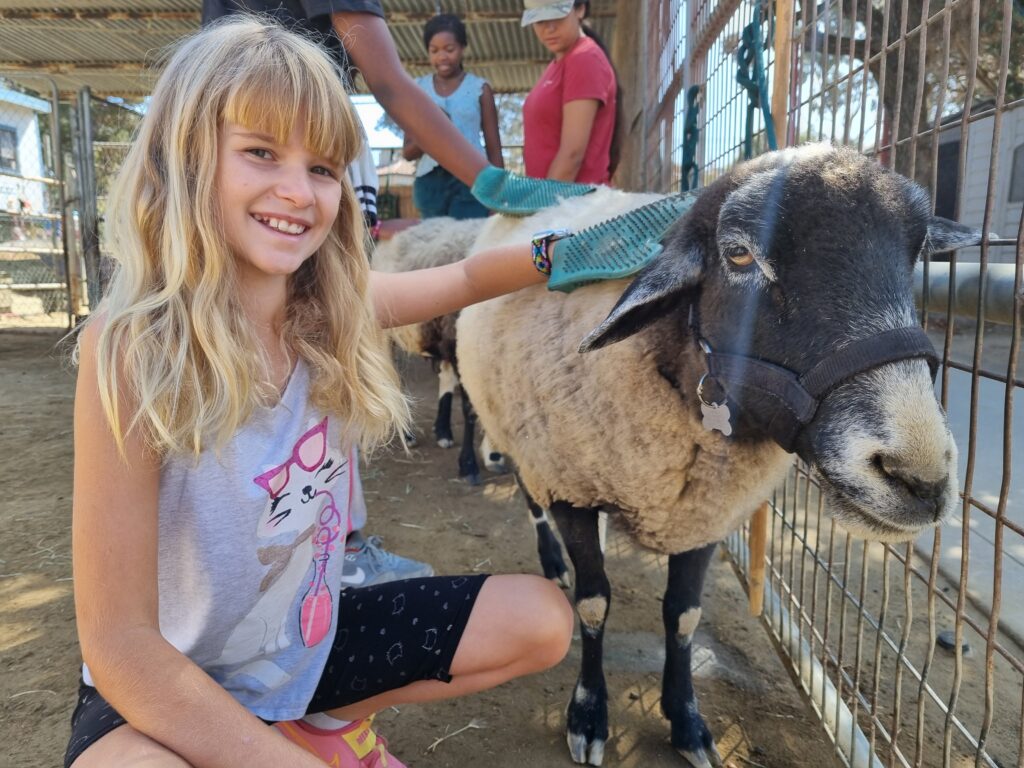 Young girl kneeling beside a sheep