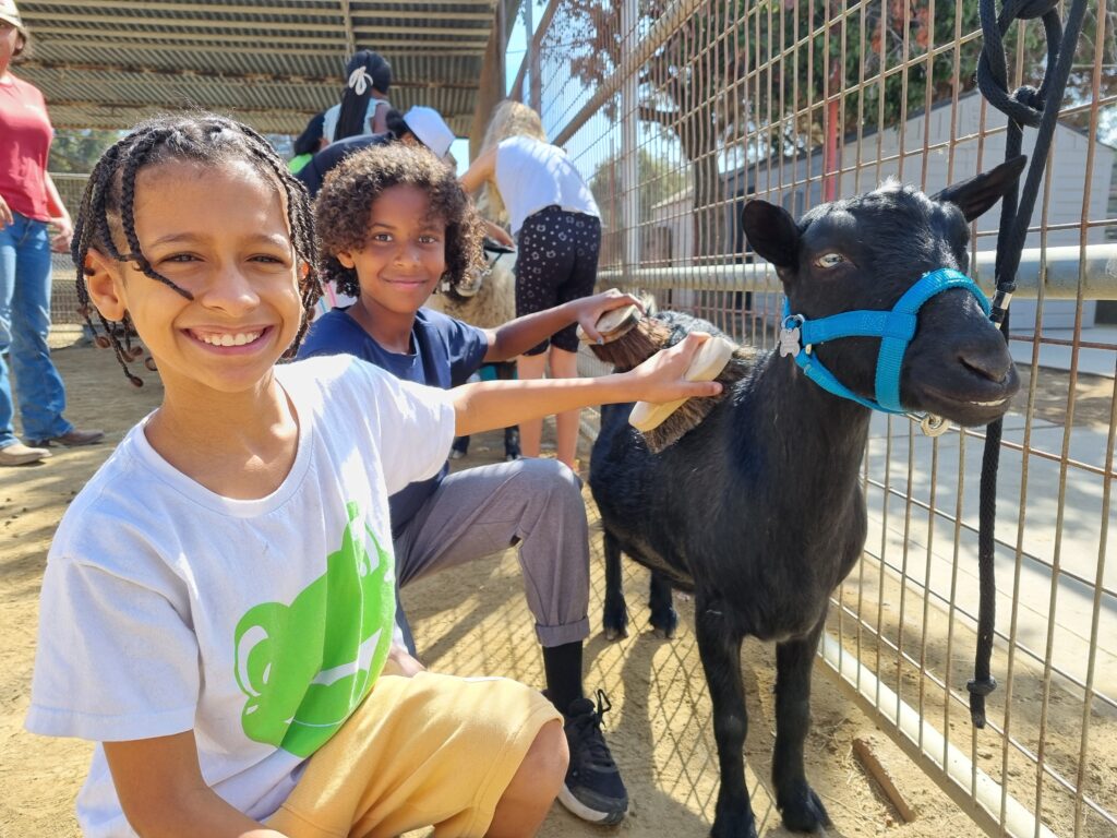 Two kids and a goat