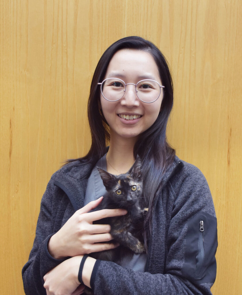 Woman holding a cat