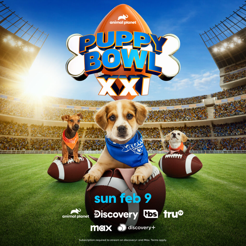 Puppy bowl XXI is on Saturday February 9 on Discovery+ and Animal Planet