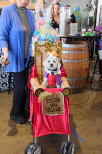 A Puppy Prom King