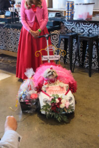 Puppy Prom Queen