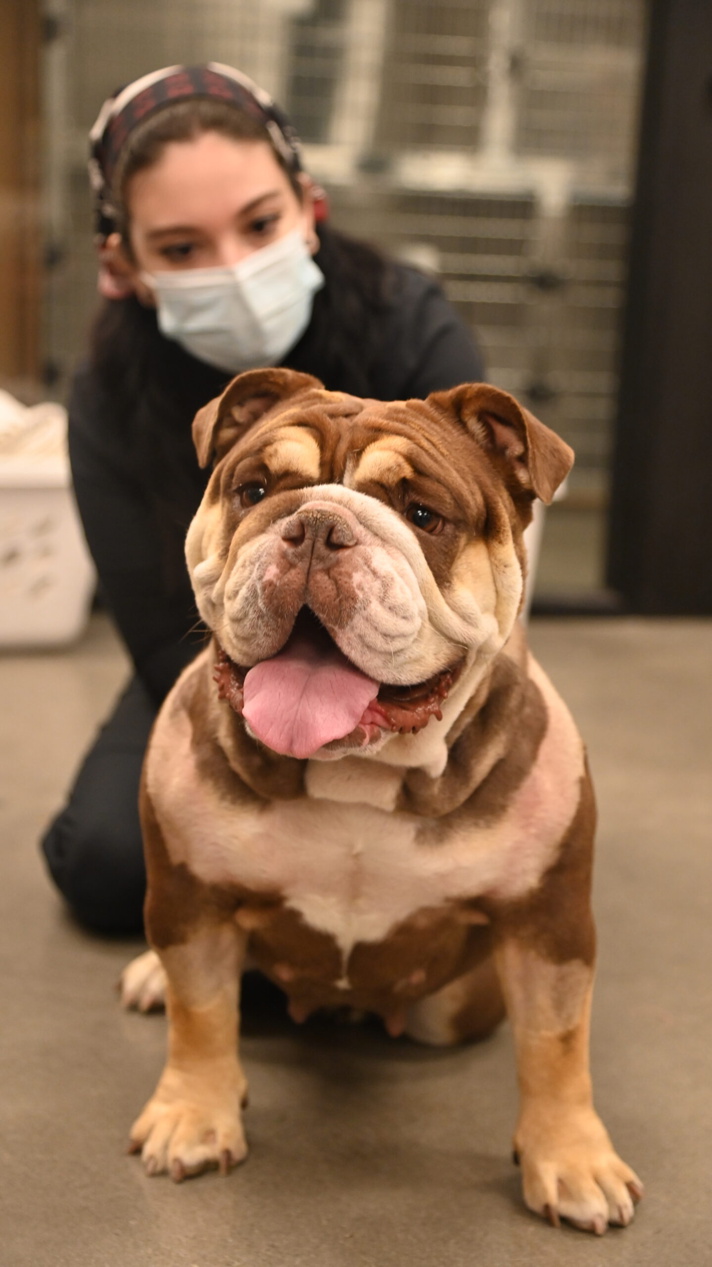 Petunia with Veterinarian