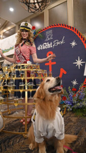 Dog and Champagne Woman