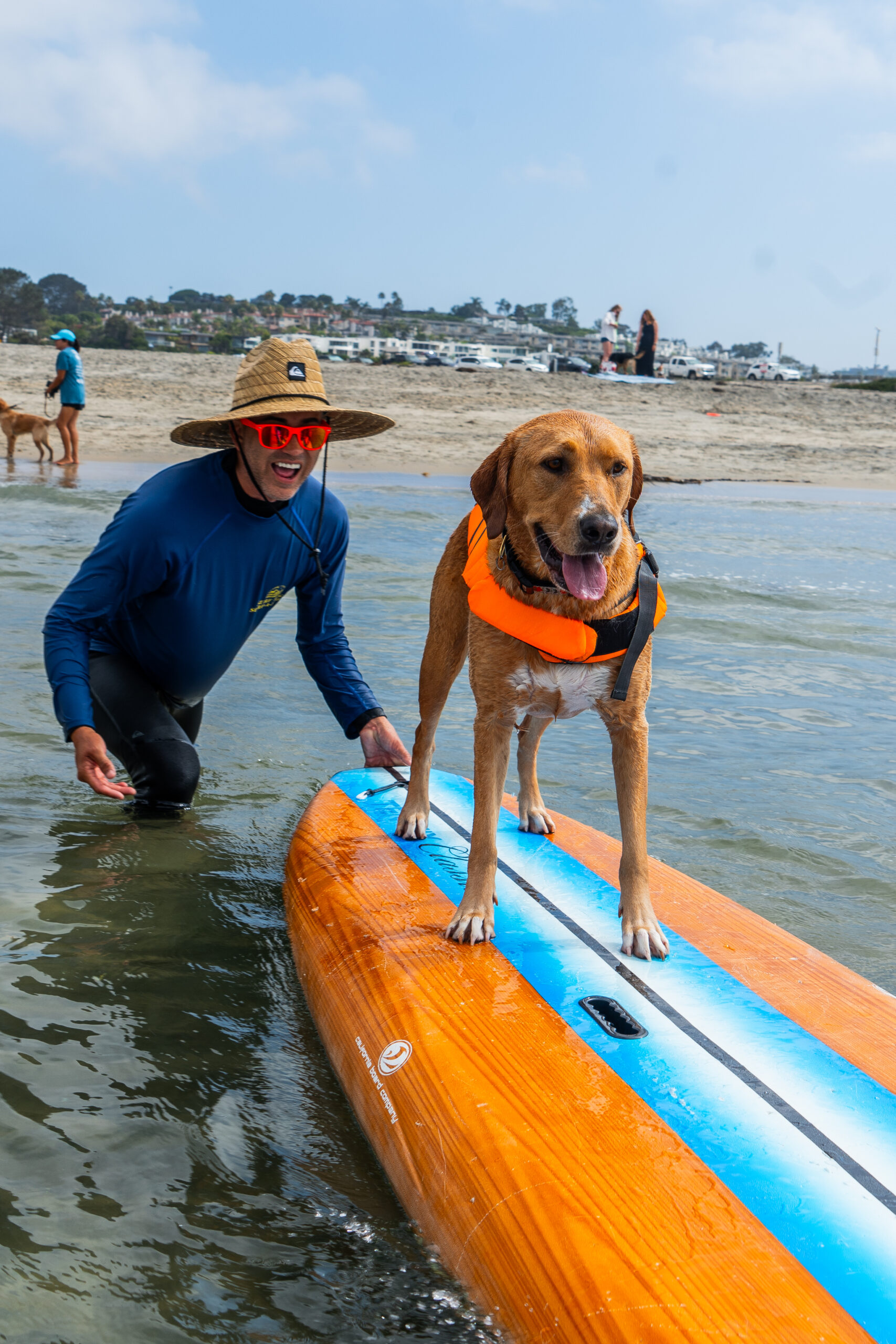 Surfing Dog & Instructor