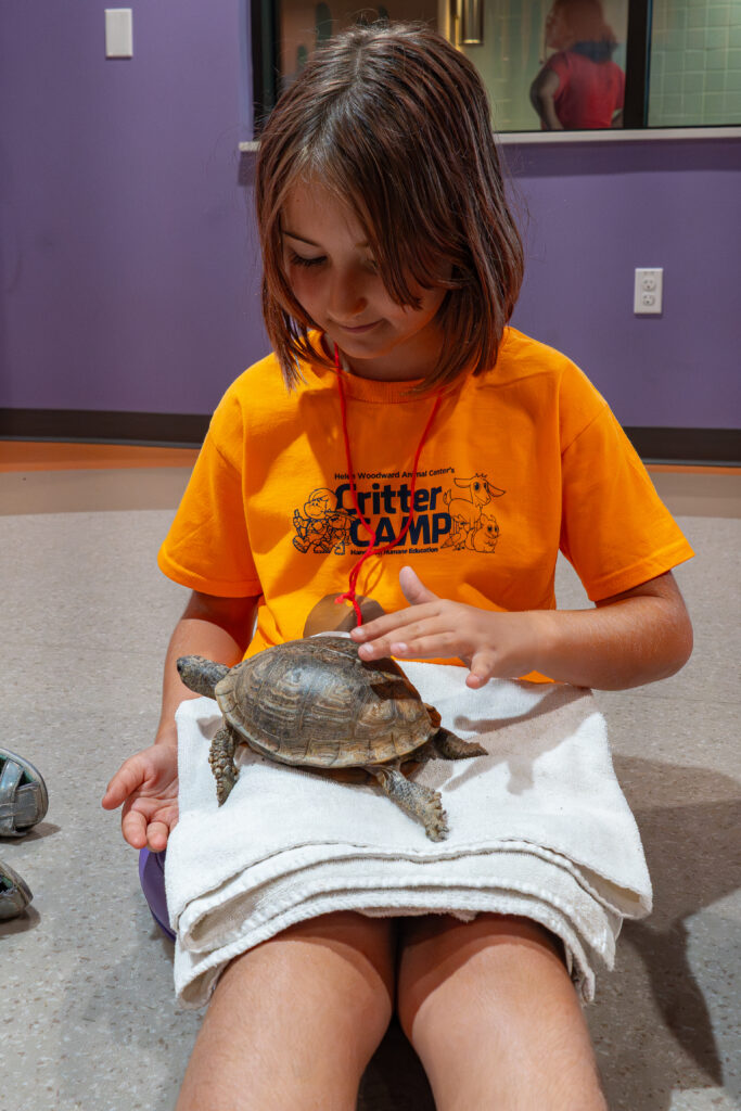 Kid petting a turtle