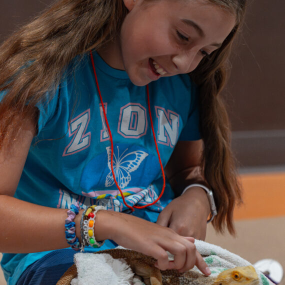 Girl with a blue t shirt on petting a bearded dragon