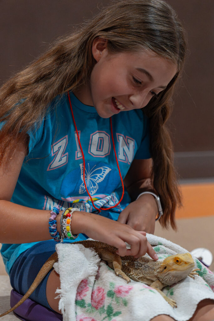Girl with a blue t shirt on petting a bearded dragon