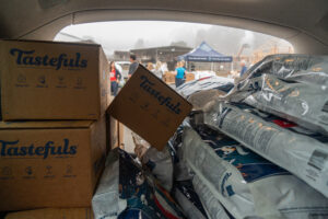 Pet food in car