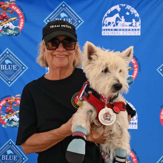 A dog receiving an award for surfing and his owner