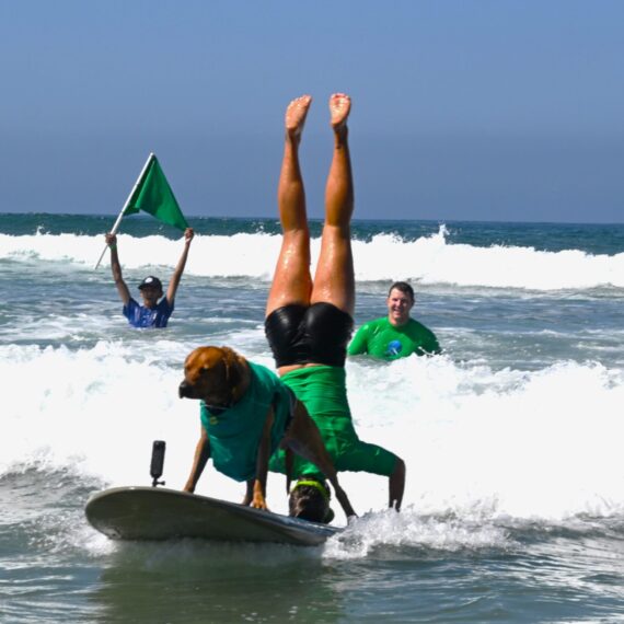 Ricky, a dog with his owner surfing