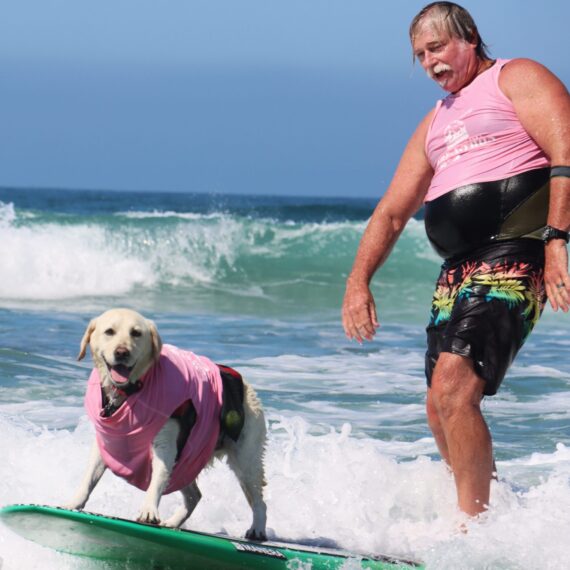 A man surfing with his white dog