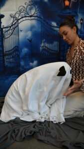 Easy Last Minute DIY Halloween Pet Costume- Ghost