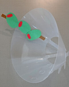 Toothpick in DIY Martini Glass