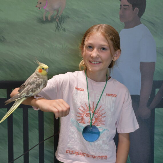 Girl holding a parakeet on her arm