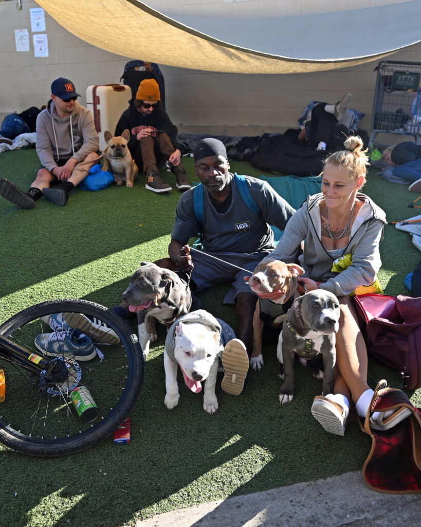 PWW Individuals with Pets