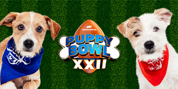 Puppy Bowl 2026 in San Diego
