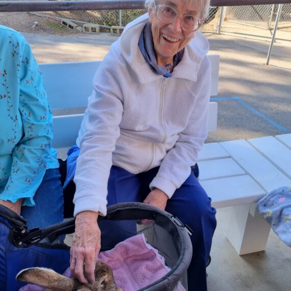 Elderly woman petting a rabbit