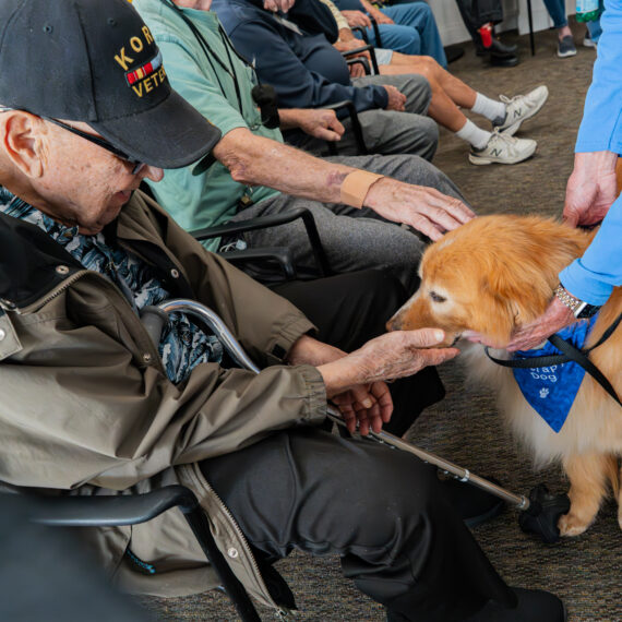 Several people petting a dog