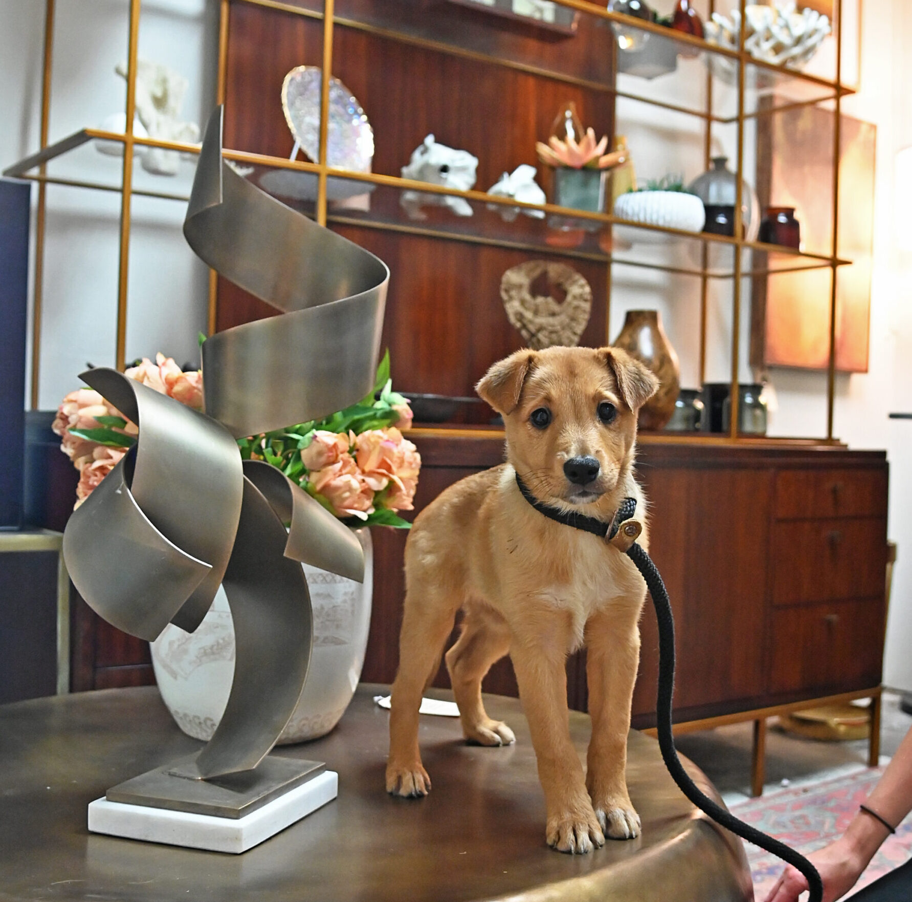 Best Thrift Stores in San Diego.
