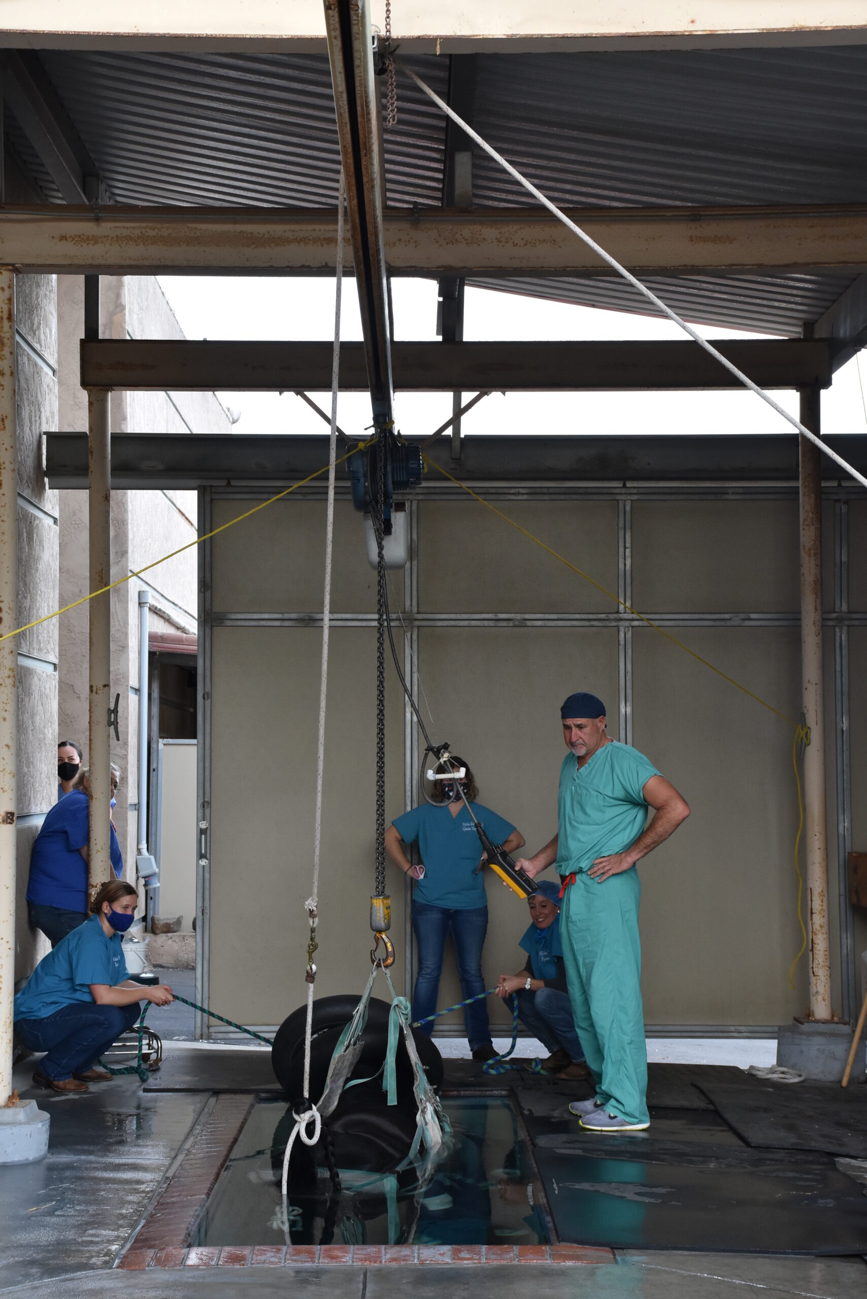 Equine surgical recovery pool completed