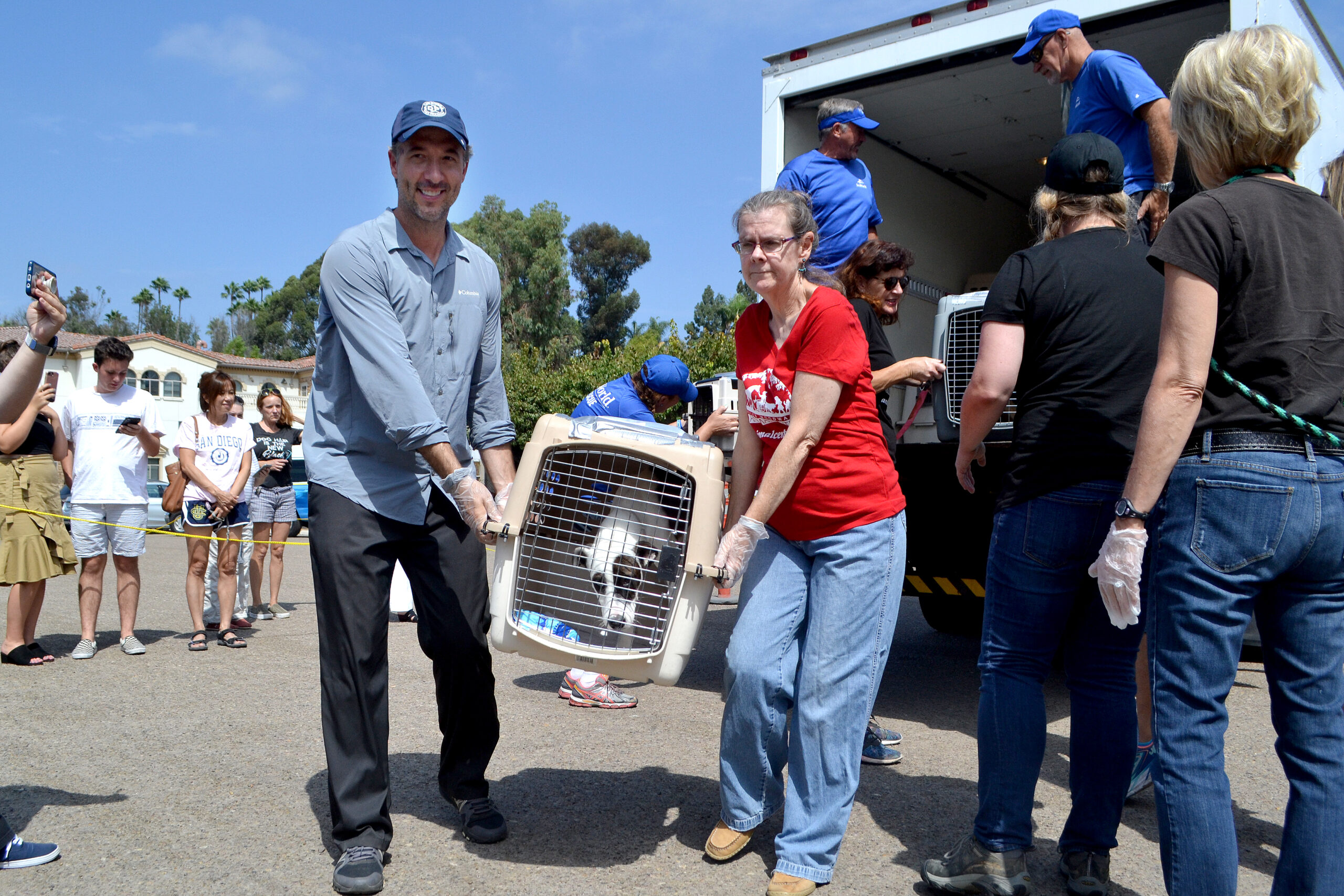 Orphan Pets from Hurricane Harvey Arrive at Center
