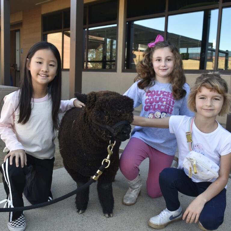3 children kneeling around a sheep