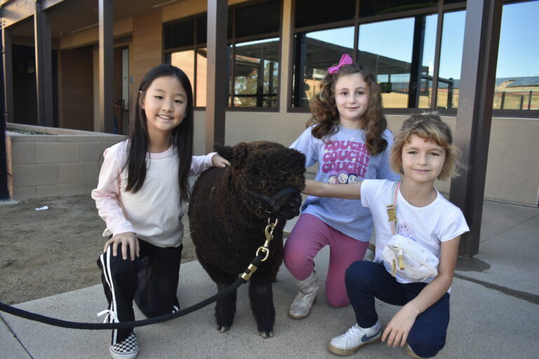 Children kneeling around a sheep