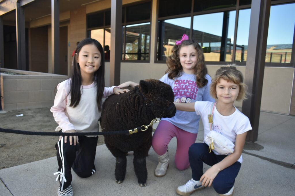 children kneeling around a sheep