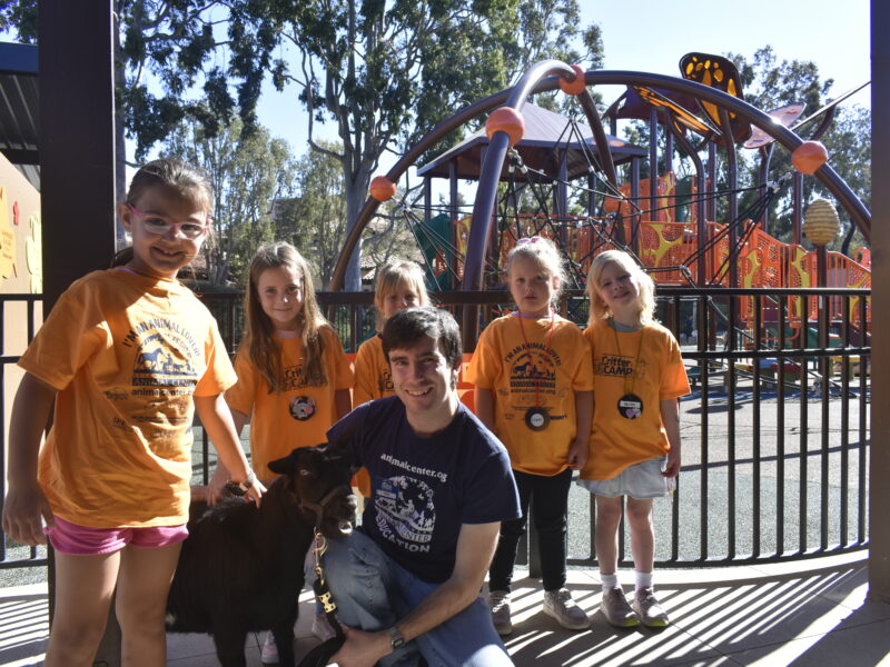 Kids and an instructor kneeling/standing around a goat