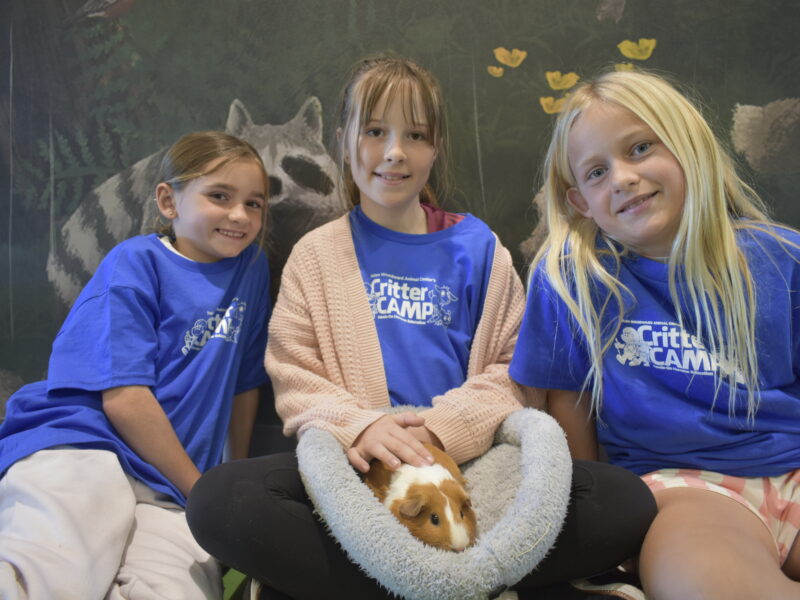 Three girls smiling at the camera wearing Critter Camp shirts.