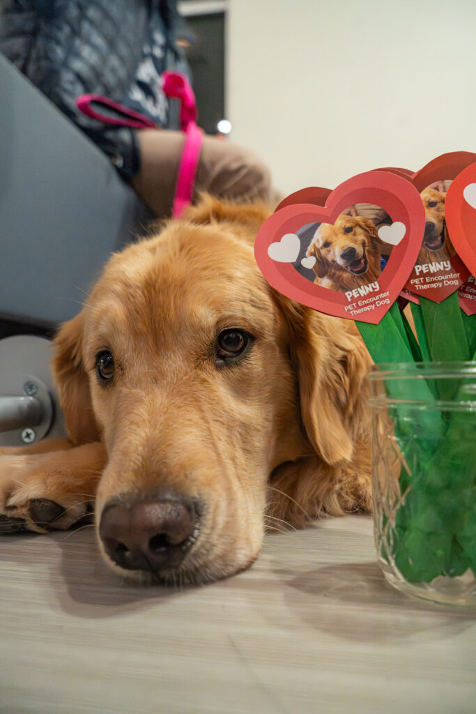 Penny with hearts