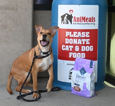 Dog sitting next to an Animeals Food Drop Off Container