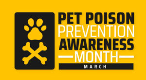animal poison prevention 