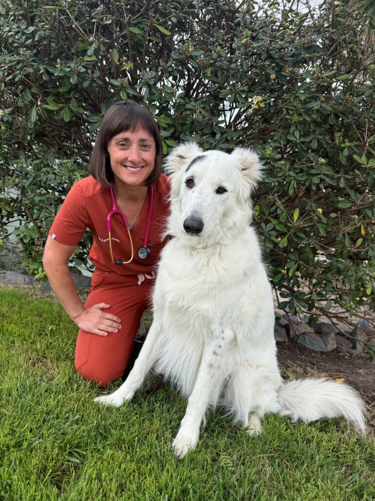 DVM (Dr. Lewin, kneeling next to a large white dog sitting on the grass