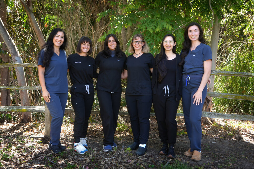 A group of six female veterinarians standing together in a line outdoors, wearing scrubs.
