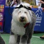 Peoples' Choice Winner Bonney