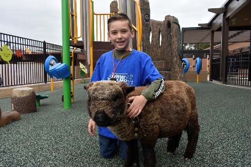 child kneeling beside a sheep with his arm over the sheeps back