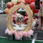 Puppy Prom Queen CinnaBella Buns
