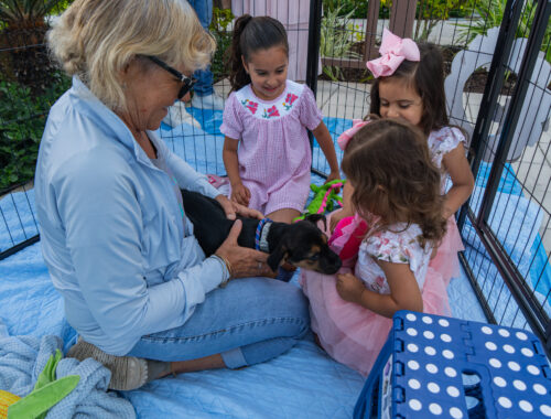 A woman holding a puppy while three small children interact with it.